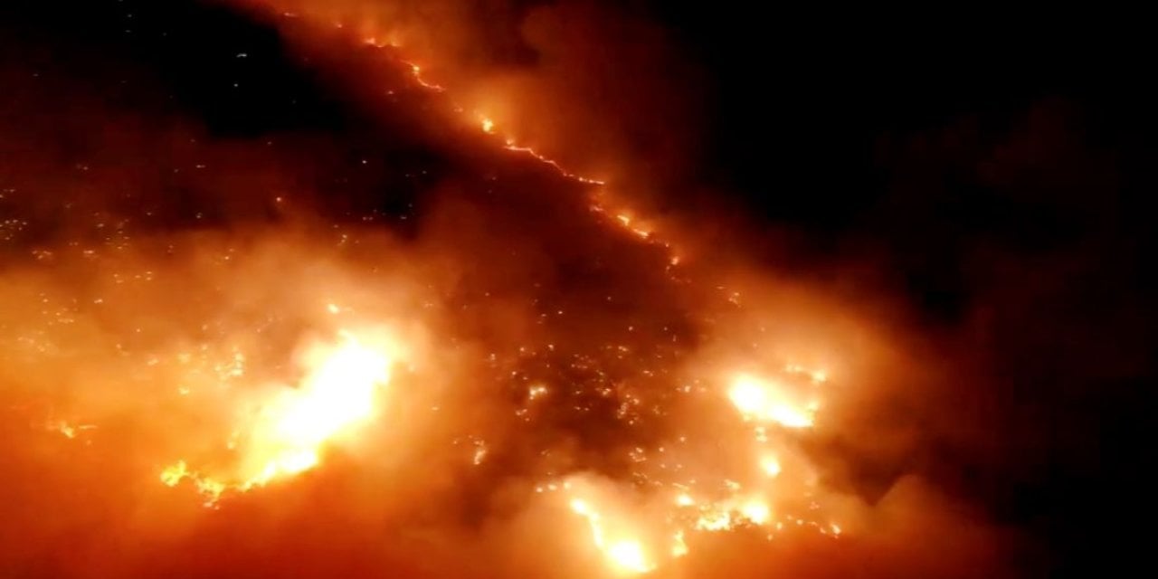Elazığ’da orman yangını!